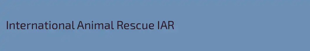 International Animal Rescue IAR
